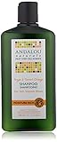 Andalou Naturals Moisture Rich Shampoo, Argan and Sweet Orange, 11.5 Ounce