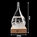 3D HOME Storm Glass Weather Stations Water Drop Weather Predictor Creative Forecast Nordic Style Decorative Weather Glass (Small)