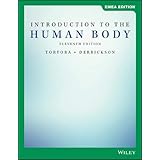 Introduction to the Human Body
