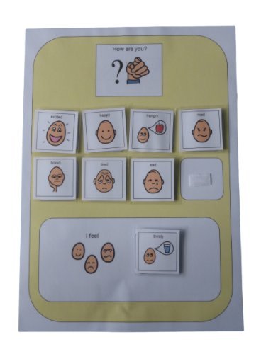 Autism Supplies And Developments PECS Emotion Board