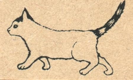 Amazon すたんぷえん 津久井智子 オリジナル スタンプ うめゆずスタンプ てくてく So0504 005 おもちゃ おもちゃ