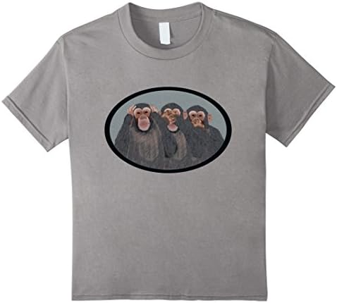 Kids Three Wise Monkeys T-Shirt 10 Slate