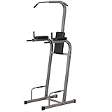 Powerline Vertical Knee Raise Chin Dip