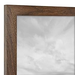 MCS Studio Gallery Frame, Walnut Woodgrain, 16 x 20