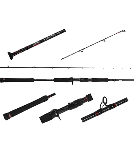 Amazon.com : Jigging World Nexus 2.0 JW-NEX701S-M 7' 10-20lb 3/4