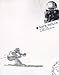 Race Skills for Alpine Skiing