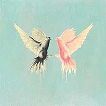 41C1LpvE9XL._AC_UL210_SR210,