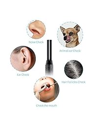 KinCam   Oreja digital de endoscopio con 6 luces LED ajustables, apta para Micro USB Type C USB PC Black (no para iPhone)