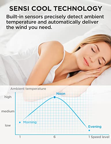 41C1RXDBA2L.jpg
