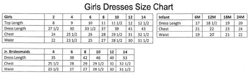 Sparkle Flower Girl, Pageant or Party Dress in Chiffon