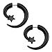 ZS 16g Graceful Tribal Spiral Fake Gauges Acrylic Ear Tapers Fake plugs Horn stud earrings (Black Spiral-style)