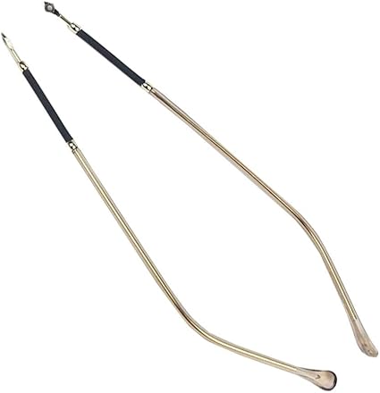 eyeglass frame temples