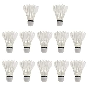 NKT Feather Shuttlecock, Pack of 10 (COCK00101)