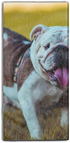 11.8 × 27.5" Dish Cloth Wash Cloth French Bulldog Face Cleaning Rags Guest Hand Towels