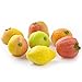Gifty World Gourmet Marzipan 54-Piece Assorted Fruit Box Holiday Gift Tray