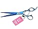 LILYS PET Professional PET DOG Grooming Coated Titanium scissors suit Cutting&Curved&Thinning shears (7.0 inches, Blue)…