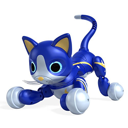 Zoomer Kitty Midnight Amazon Exclusive Buy Online in UAE. Toys And Games Products in the UAE