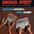 Shona Spirit: Mbira Masters From Zimbabwe