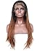 BLUPLE Micro Braided 2 Tone 1B 30 Synthetic Lace Front Wigs Heat Resistant Hair Black Root Ombre to Medium Auburn Color Lace Wig with Baby Hair for Black Women (24 inches, Micro Braided,T1B/30)