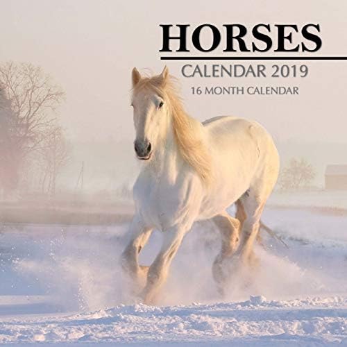 Horses Calendar 2019: 16 Month Calendar Paperback โ 23 Aug. 2018