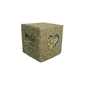 Rosewood-Naturals-I-Love-Hay-Forage-Cube-Treat-and-Toy-for-Small-Animals-Large Rosewood Naturals I Love Hay Forage Cube Treat and Toy for Small Animals, Large