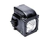 Samsung BP96-01653A Replacement Lamp