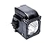 Samsung BP96-01653A Replacement Lamp