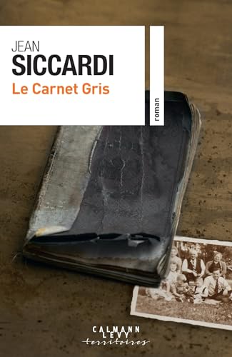 Le carnet gris