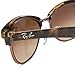 Ray-Ban CATHY CLUBMASTER - LIGHT HAVANA/BROWN Frame CRYSTAL BROWN GRADIENT Lenses 52mm Non-Polarized