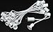 Novelty Lights Clear Hanging Incandescent Christmas String Lights - Retro Traditional C9 Indoor/Outdoor Light Set w/ 25 Mini Bulbs for Roof Lines, Patios (White Wire, 25' Long)