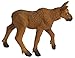 Safari Ltd. North America Wildlife Collection - Moose Calf Figurine Non-toxic and BPA Free