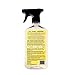 Aunt Fannie's All Purpose Household Cleaner, Multi-surface Spray, Powered by Vinegar for Kitchen, Bath, Windows and Countertops, Lavender Scent (Pack of 1)