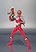 Bandai Tamashii Nations S.H. Figuarts 
