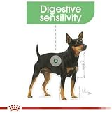 Royal Canin Digestive Care Adult Wet Dog Food 85g Pack of 48 view 7