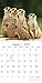 Meerkats 2019 Calendar