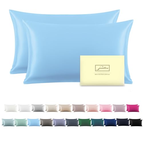 Silk Pillow Case 2 Pack Sky Blue