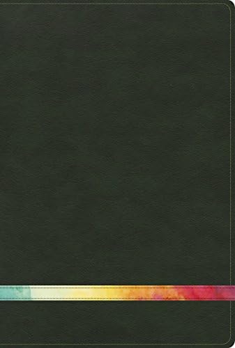 RVR 1960 Biblia de Estudio Arco Iris, verde profundo/multi símil piel con índice (Spanish Edition) Imitation Leather – October 1, 2016