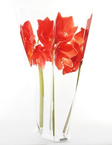 Red Amaryllis Vase 3D Flowering Design Object. The stylish design alternative for flowers in your home.