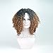RUISENNA Afro Kinky Wig Short Curly Wigs Black and Brown Ombre WigS for balck Women 100% Heat Resistant Fiber Synthetic Wigs