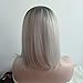 Short Wig Cosplay Wigs for Women Ombre Hair Silver Gray Synthetic Wigs Black to Grey Anxin Bob Straight Middle Part Full Head Wigs Heat Resistant (28CM, Grey)