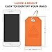Adventurologist Luggage Tags (2 Pack)