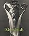 Karl Blossfeldt, 1865-1932