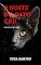 Livro A NOITE DO GATO CRU: Literatura de Cordel