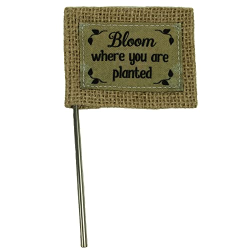 Cathedral Art Abbey & CA Gift Bloom Where Planted Flag Flower Pick, One Size, M…