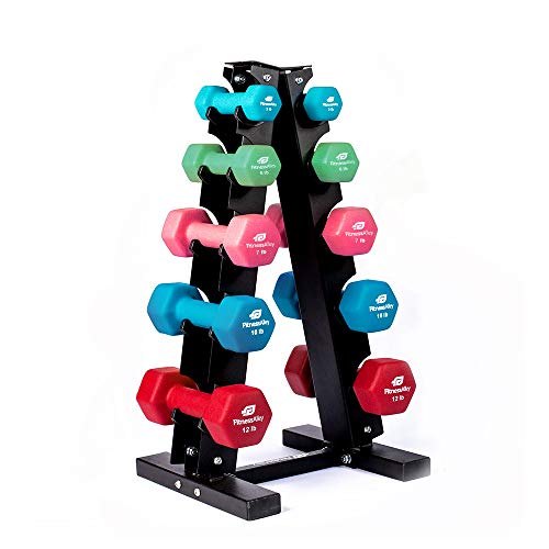 Fitness Alley Steel Dumbbell Rack – 5 Tier Weight Holder & 5 Tier Weight Rack Dumbbell Stand – Dumbbell Holder – Dumbbell Rack Stand (5 Tier Rack & 3,6,7,10,12 lbs Dumbbells)
