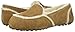 UGG Women's Hailey Suede Loafers