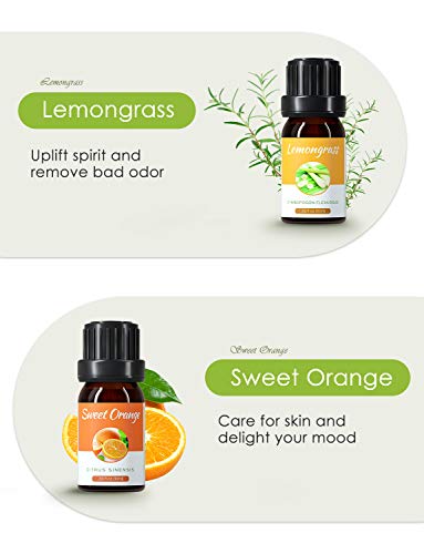 Homasy Aromatherapy Essential Oil Set, 100% Pure Essential Oils Gift Set, Top 6 Natural Essential Fragrance Oil Set for Diffuser, 10ML(Tea Tree, Peppermint, Lavender, Eucalyptus, Lemon Grass, Orange)