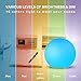 LED Ball Light, 16 Colors Mood Lamp, Orbs Night Light with Rechargeable 10M Wireless Remote Floating Globe Light with Ground Insertion, Ideal for Kids Bedroom Garden Pool Party Decoration (8