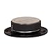 Goldwood Sound, Inc. Sound Module, Titanium Dome Tweeters 120 Watt Each 8ohm Replacement Round 2 Tweeter Pack (GT-324-2)