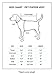 Littlearth NHL Boston Bruins Basic Pet Jersey, Team Color, Large
